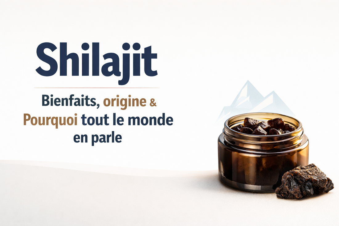 Shilajit : bienfaits, origine et pourquoi tout le monde en parle