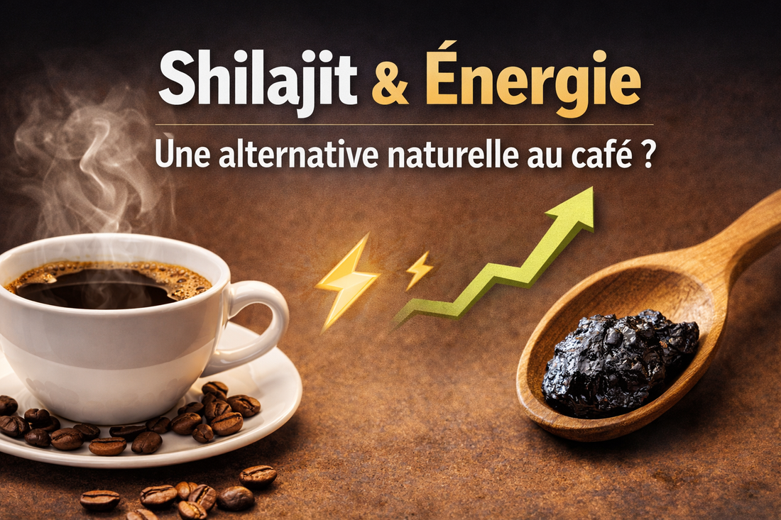 Shilajit et énergie : une alternative naturelle au café ?