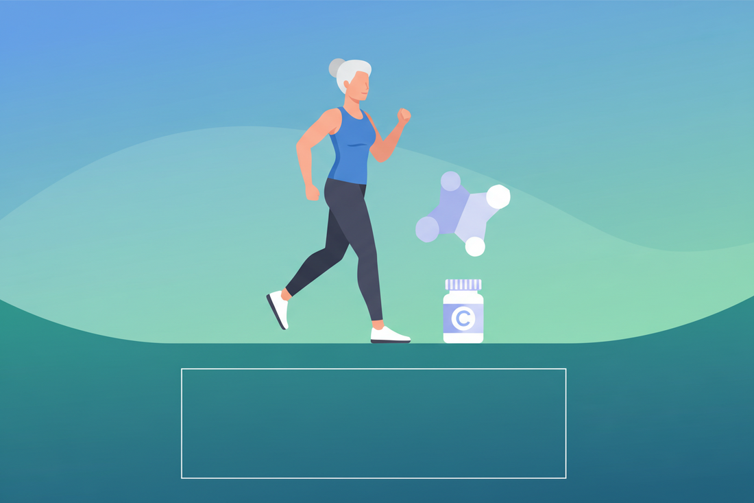 La créatine peut être utile avec l’âge