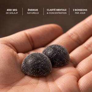 Shilajit Gummies 2.0