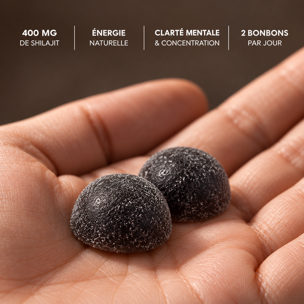 Shilajit Gummies 2.0