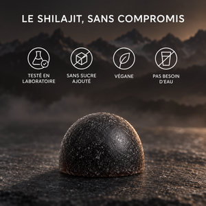 Shilajit Gummies 2.0
