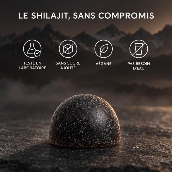 Shilajit Gummies 2.0