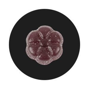 M-Alpha Gummies